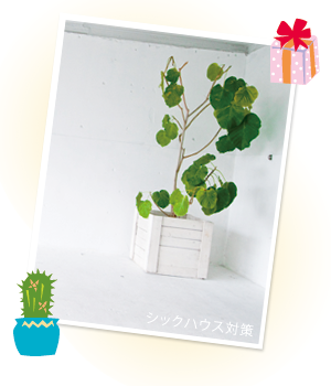シックハウス対策